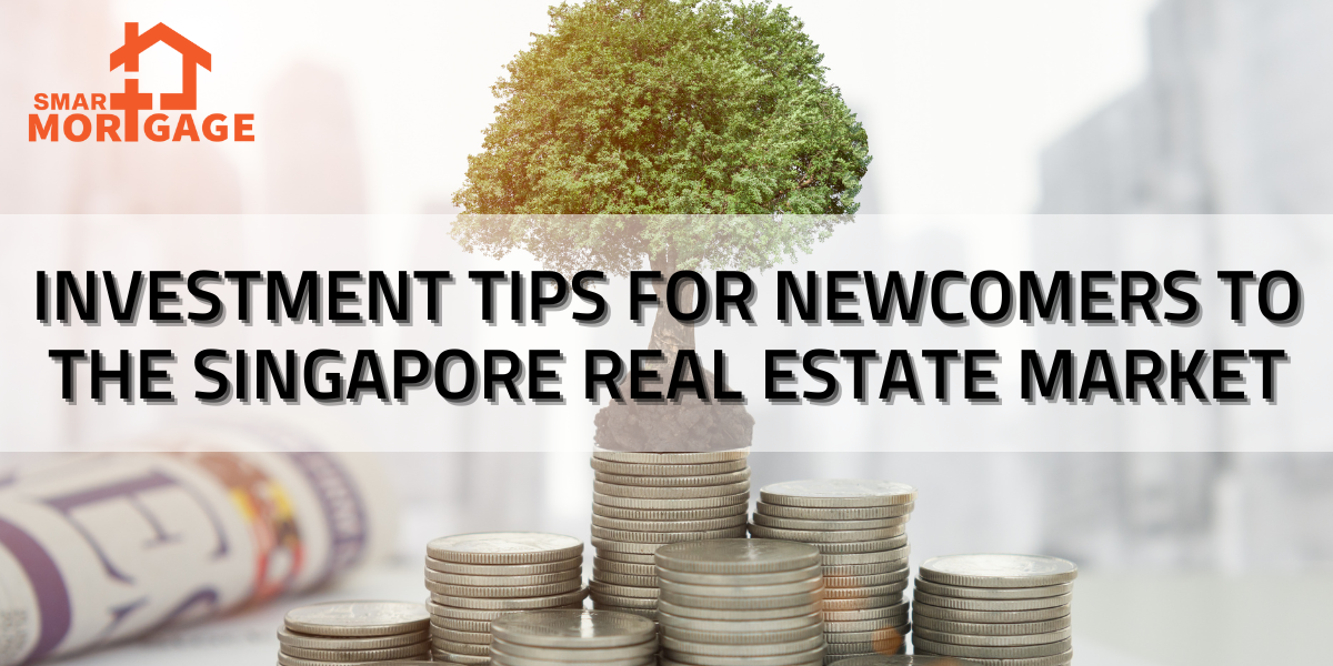 Investment Tips for Newcomers to the Singapore Real Estate Market (1)