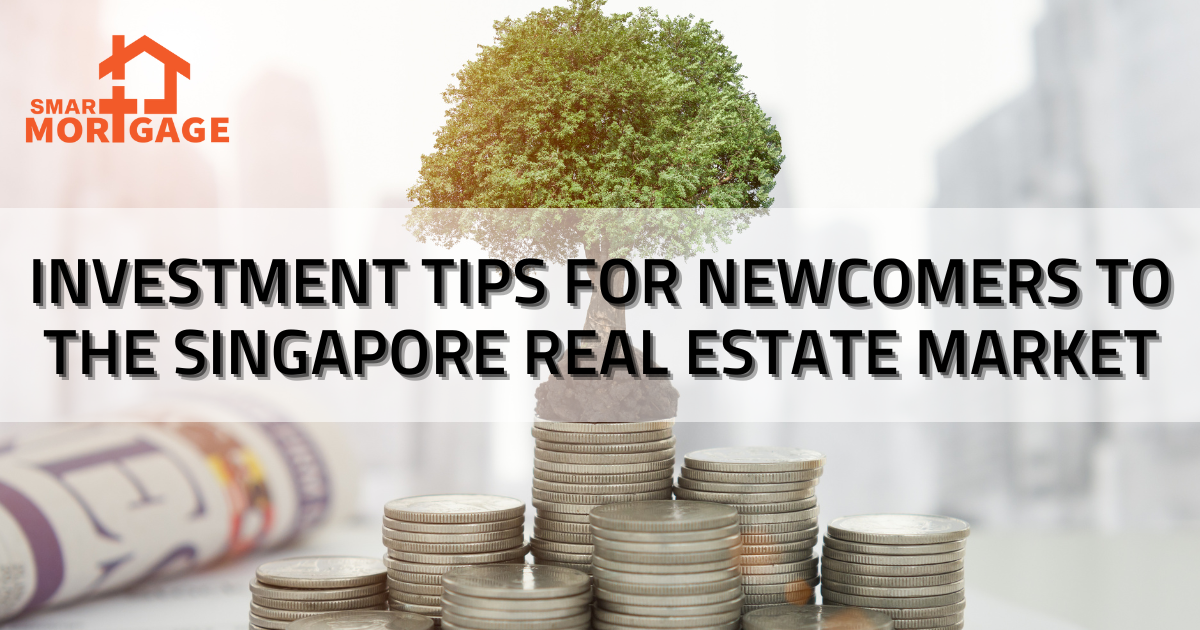 Investment Tips for Newcomers to the Singapore Real Estate Market (1)